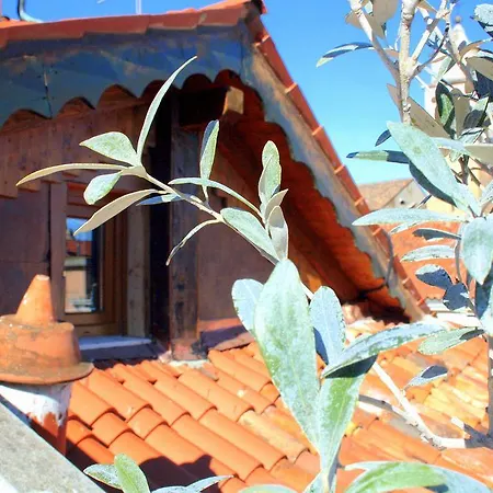 Terrazza Biennale Βενετία