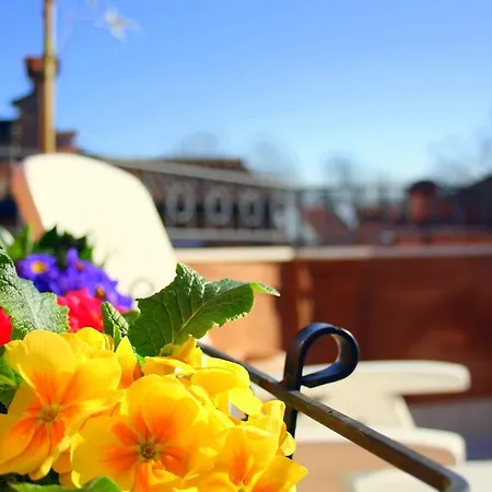 Terrazza Biennale Venice