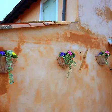 Terrazza Biennale Διαμέρισμα *