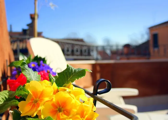 Terrazza Biennale Venice