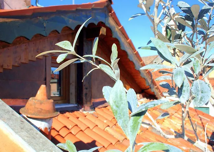 Terrazza Biennale Velence