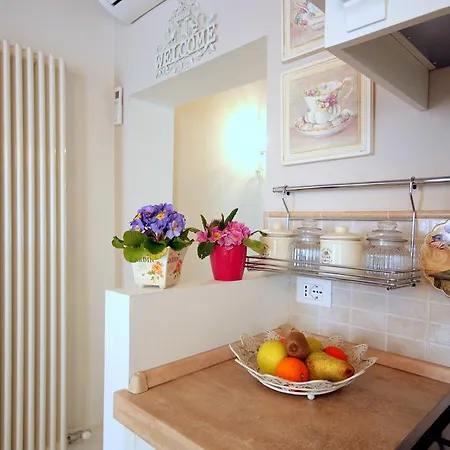 Apartmán Terrazza Biennale Benátky